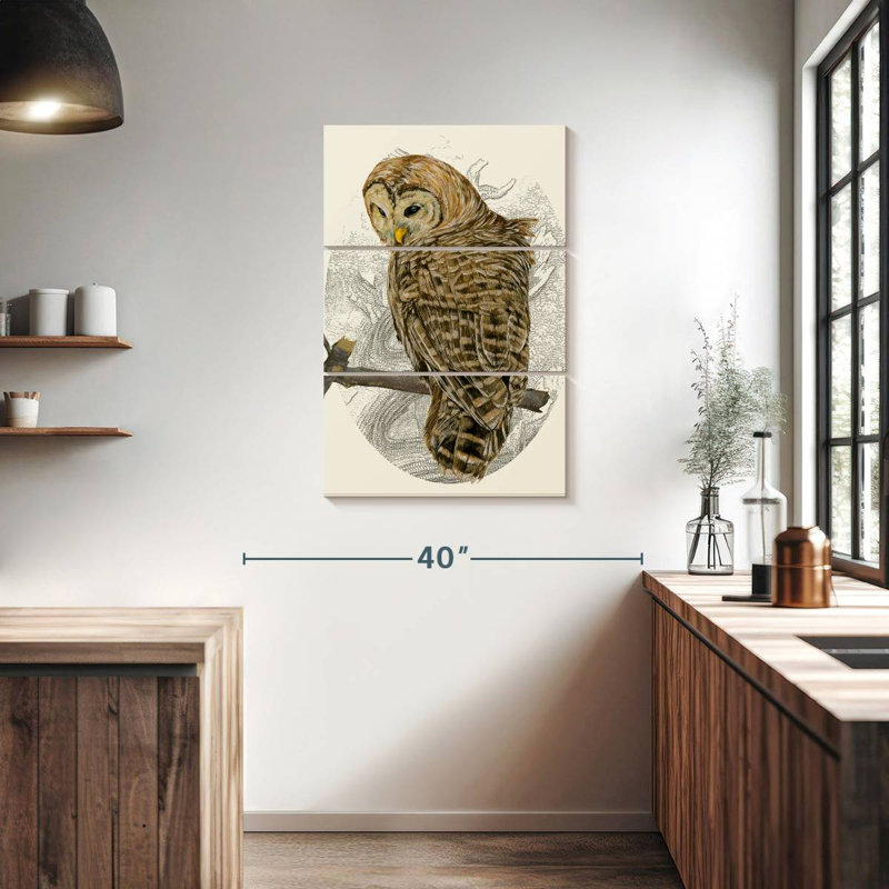 Brampt Barred Owl II, 38'' H x 24'' W