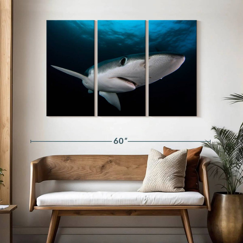 Requin bleu sous-marin Brampt, H 32 po x l 50 po