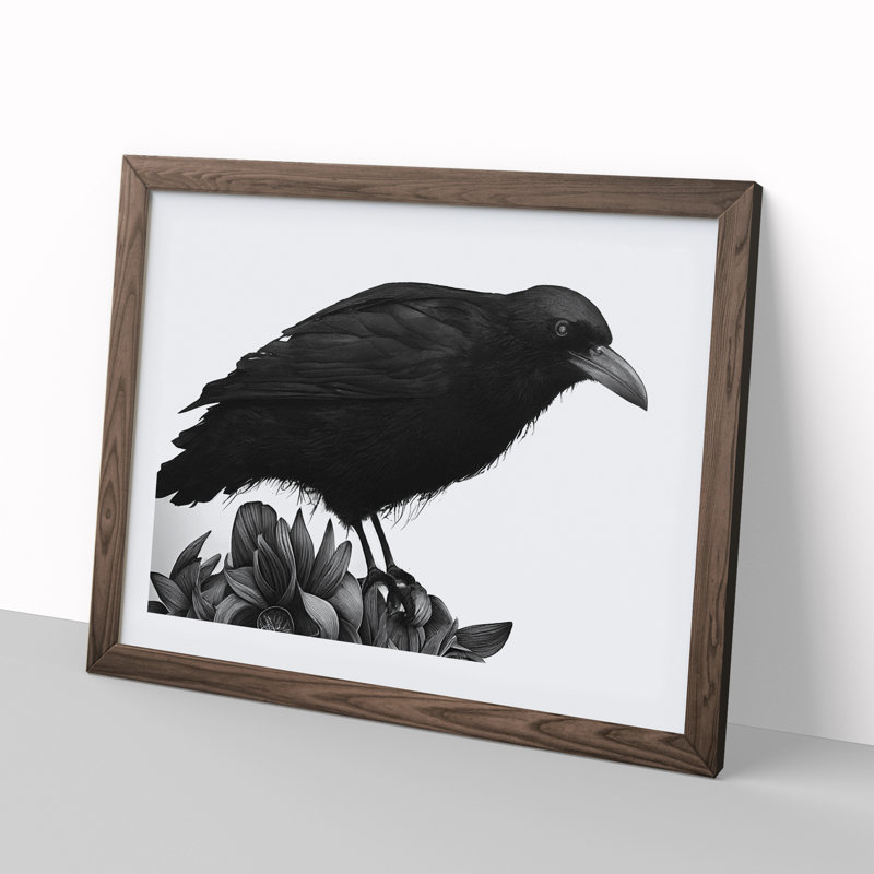 Dramatic Crow Bird - Single Picture Frame Print, Walnut Framed, 25cm H x 34cm W x 2cm D