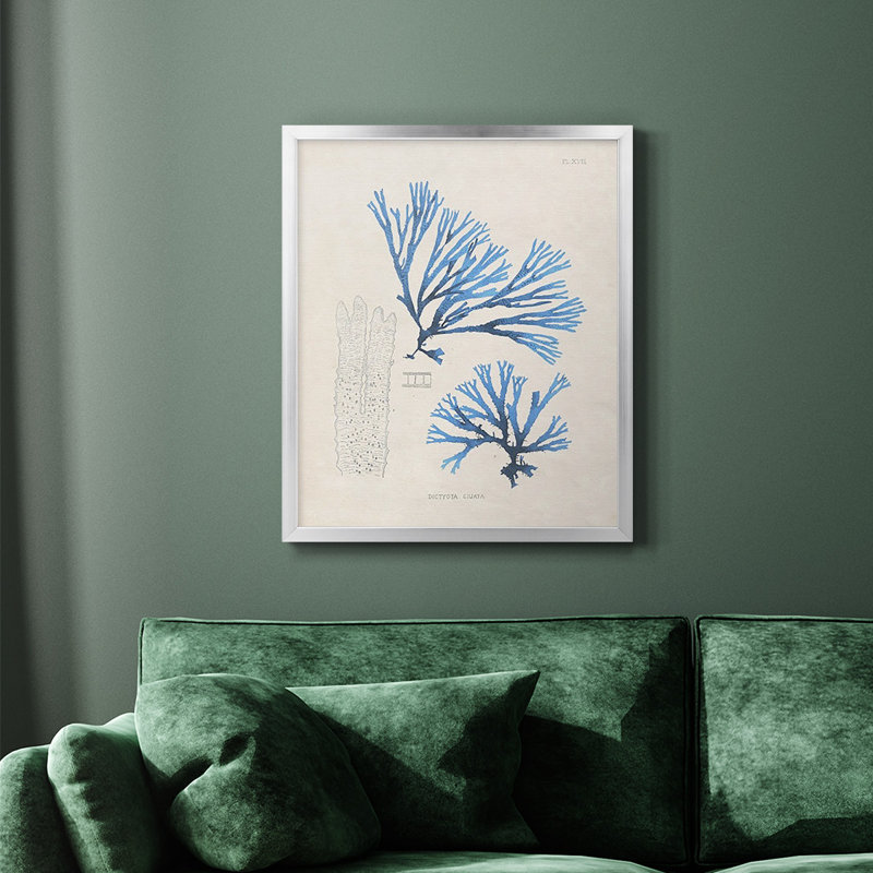 «Blue Marine Algae V», toile encadrée de qualité supérieure - prête à être accrochée, Argent, H 20 po x l 16 po