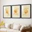 Dappled Oranges I - reproduction sur mesure encadrée de qualité supérieure - 3 pièces-724783940-724783946