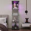 Desoto 4-Tier Glass Display Cabinet with LED Lighting, Lockable Single Door Curio Cabinet with Key, Mirror Back Display Case for Collectibles, Figures, Books and Decor-1389752886