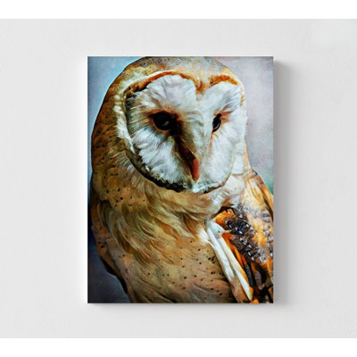 Barn Owl Painting Print, Framed Small Owl Art, Country Owl Art, Serene Barn Owl Print, Original Bird Art, Bird Love Art, Framed Wall Art