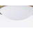 Arbaz Glass Flush Mount-1608514911-1608514910