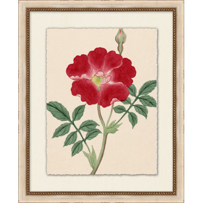 Prisma Floral 16 Print