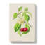Illustration of Cherries - Wrapped Canvas-55304259