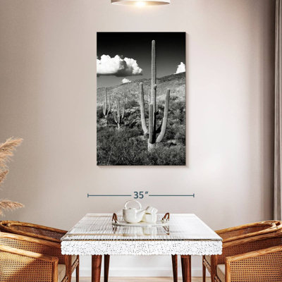 Harnek - Arizona noir - Saguaro Cactus Valley