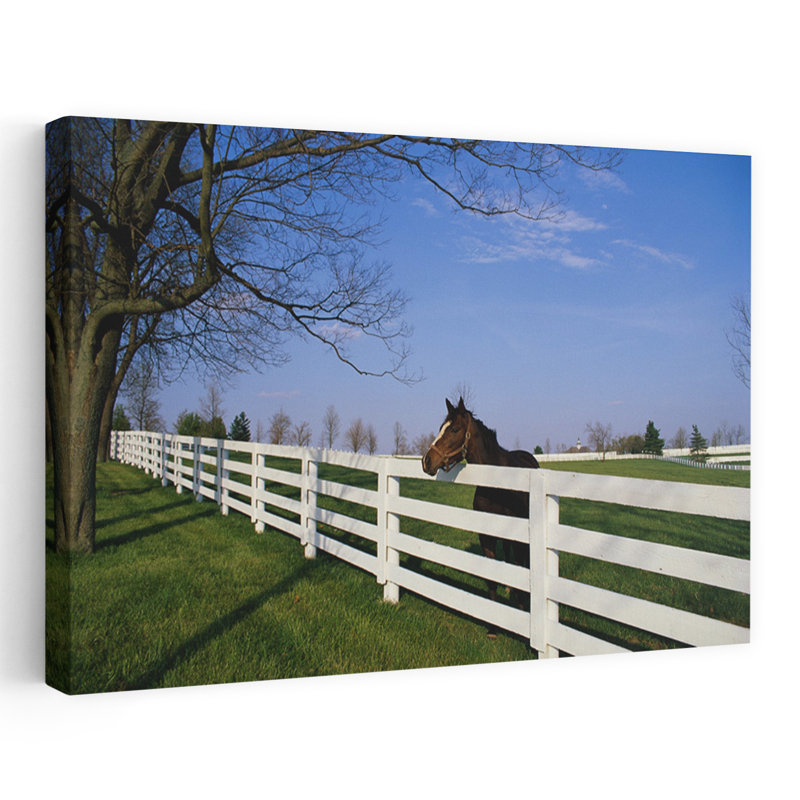 Cheval de pur-sang Lexington Ky, art abstrait contemporain, art animalier, H 32 po x l 48 po
