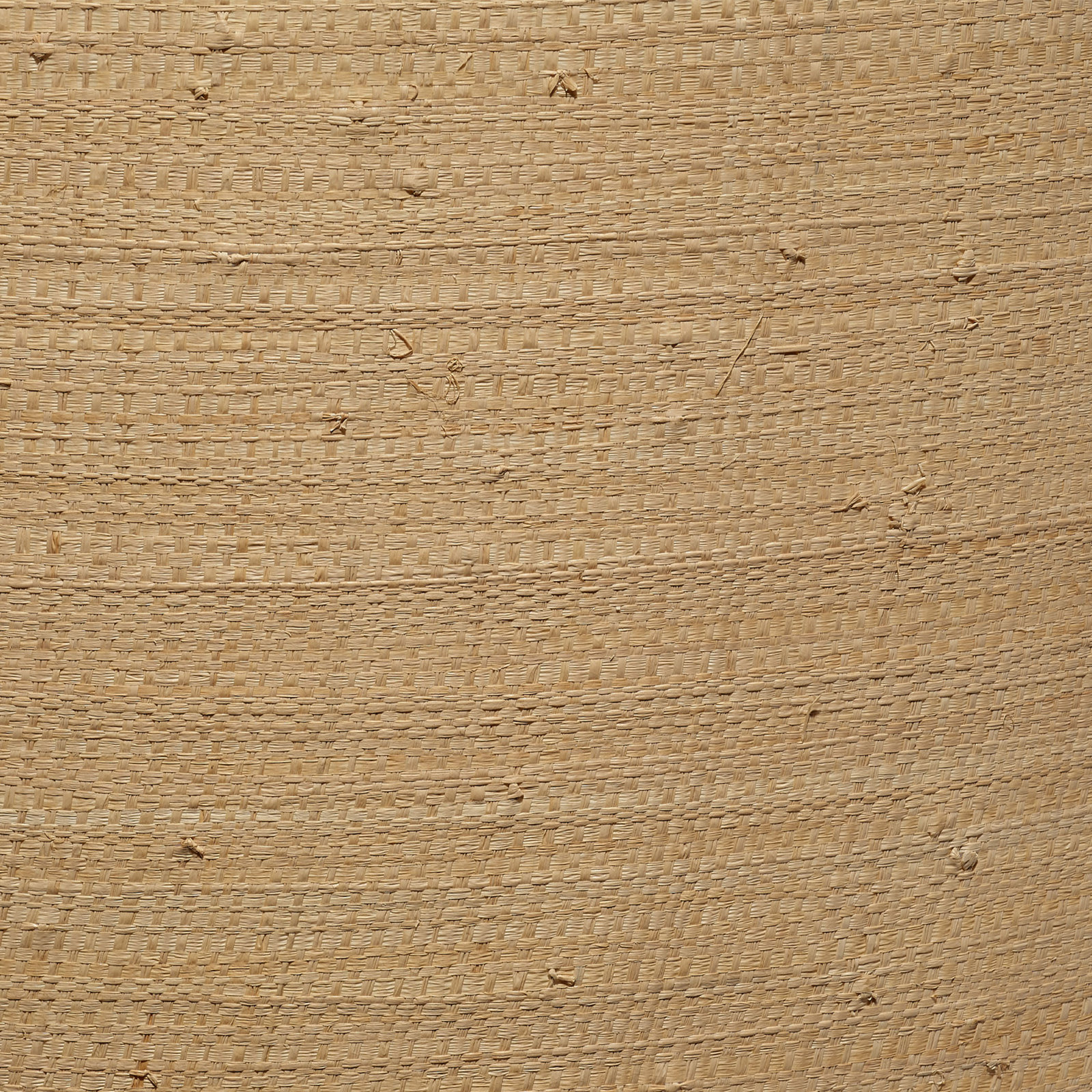 Emery Large Raffia Shade, 10" H x 15" W x 15" D