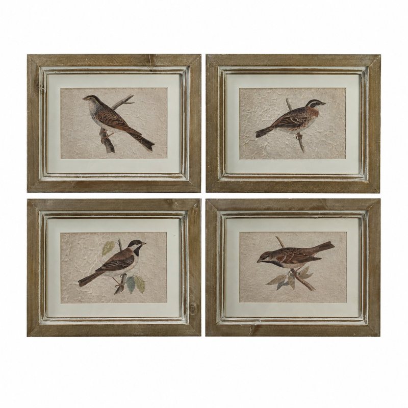 Vintage Bird Study Framed Wall Art - Set of 4