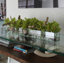 Centre de table orchidée Driftwood Cymbidium-898860794-898860795