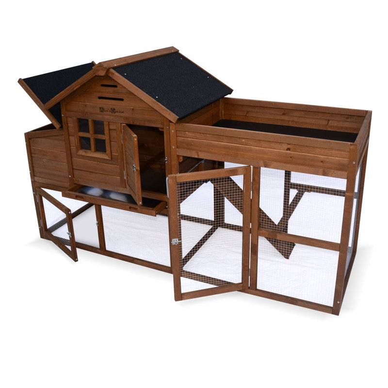 Chicken Coop with Nesting Box