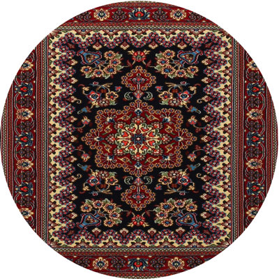 Oriental Indoor Rug