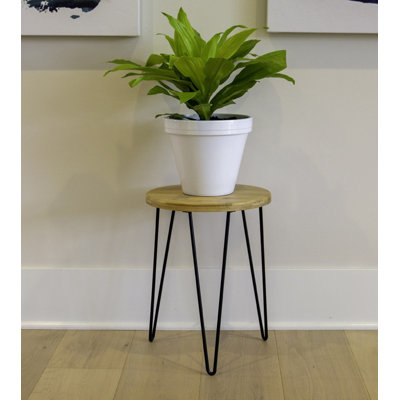 1 Tier Plant Stand
