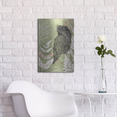 «Tawny Frog Mouth» par trudy riz
