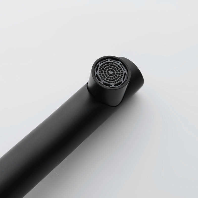 Robinet de lavabo de salle de bain monocorps à poignée simple avec ensemble de bonde escamotable optionnel, Noir mat