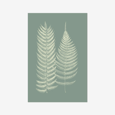 Ferns on Sage IX 1 Piece Painting