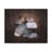 Cute Calico Bathee Canvas Wall Art