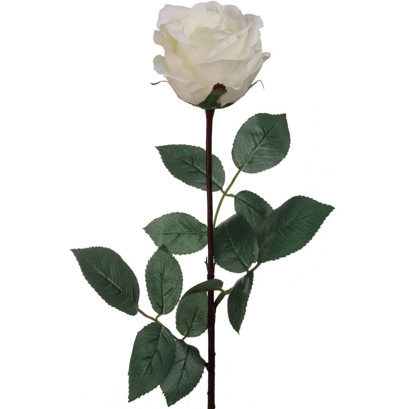 Tige de roses, Blanc, 2