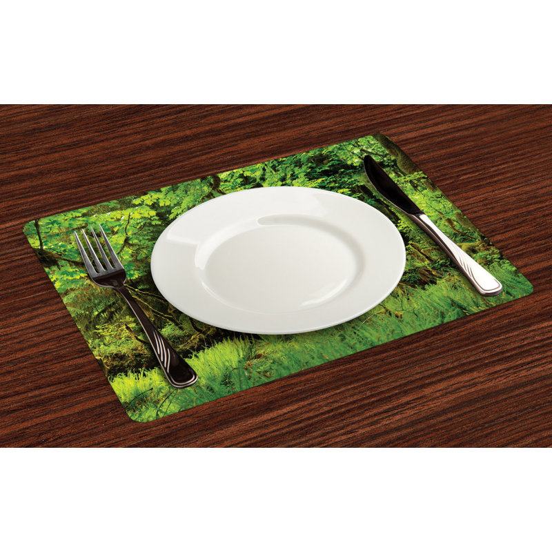 Récapitulatif 18,5" rainforest
