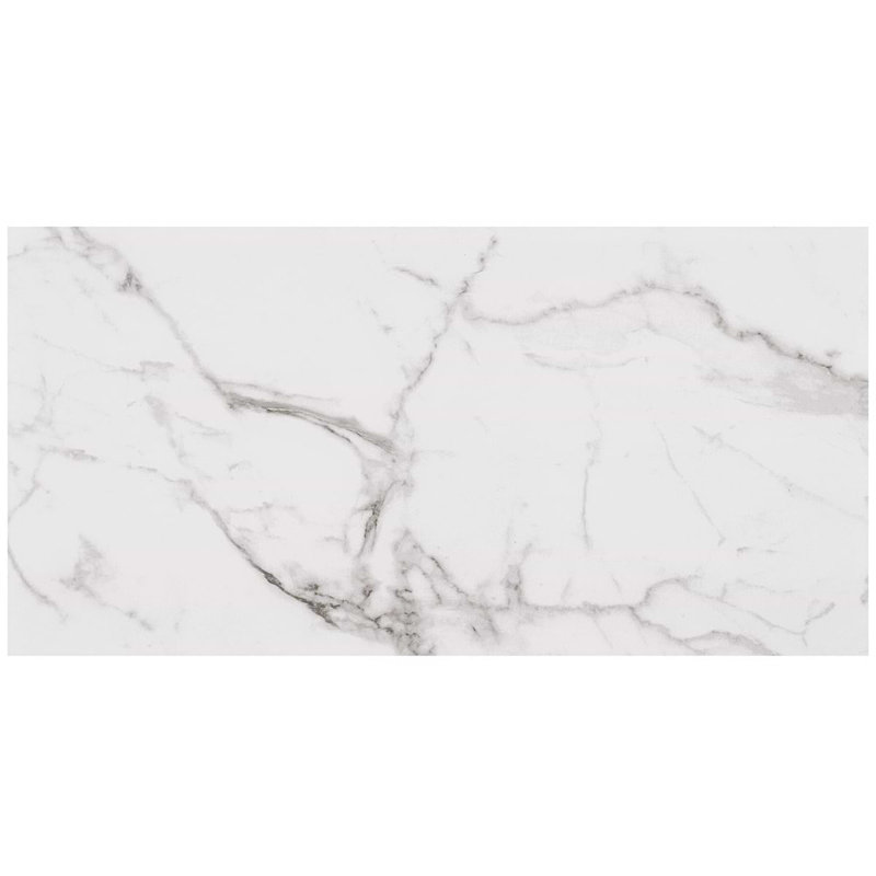 Dreamstone 12X24 Matte Porcelain Tile, Statuario Venato Matte