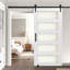 Sliding Barn Door with Hardware Kit MDF Panel Frosted Glass-978667475