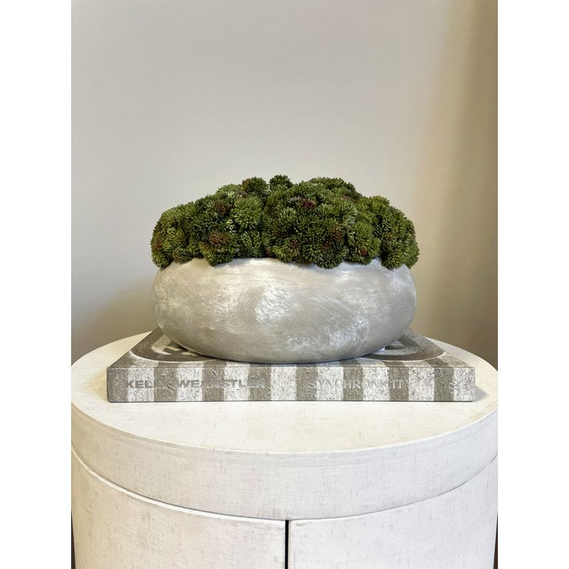 Sedum Arranged in a Stone Planter, 7" H x 11" W x 11" D, Light Green