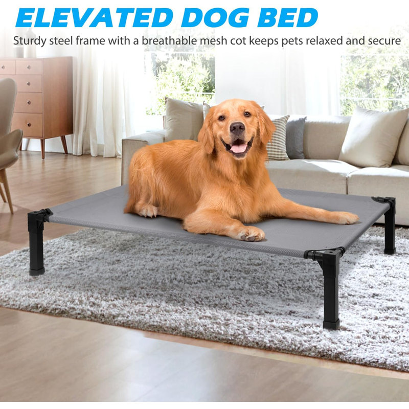 Gray Elevated Cooling Dog Bed with Steel Frame