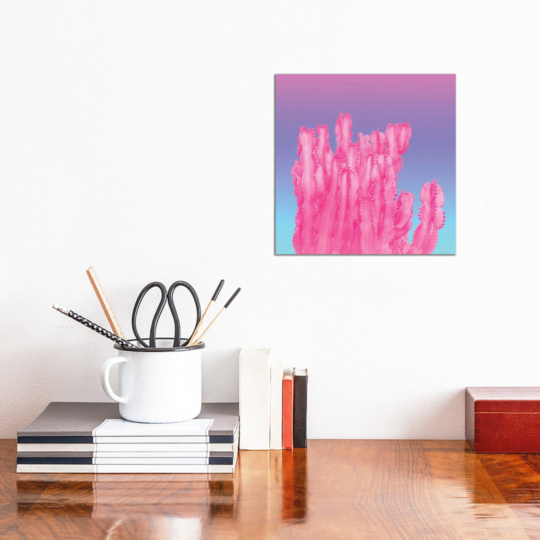 Pink Cactus Succulent