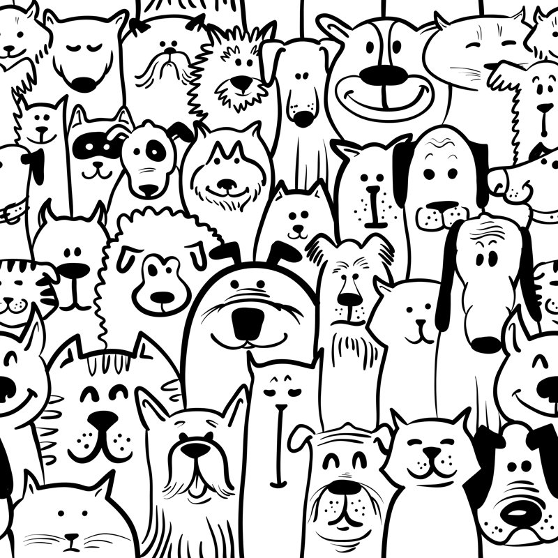 Rouleau de papier peint pelez et collez Dorazio Cats with Dogs, L 16,67 po x l 25 po