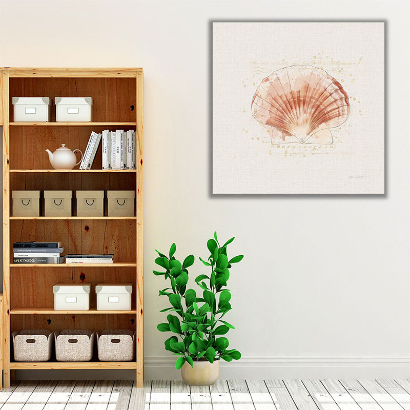 «Shell Collector IV», reproduction d'art sur toile, H 20 po x l 20 po