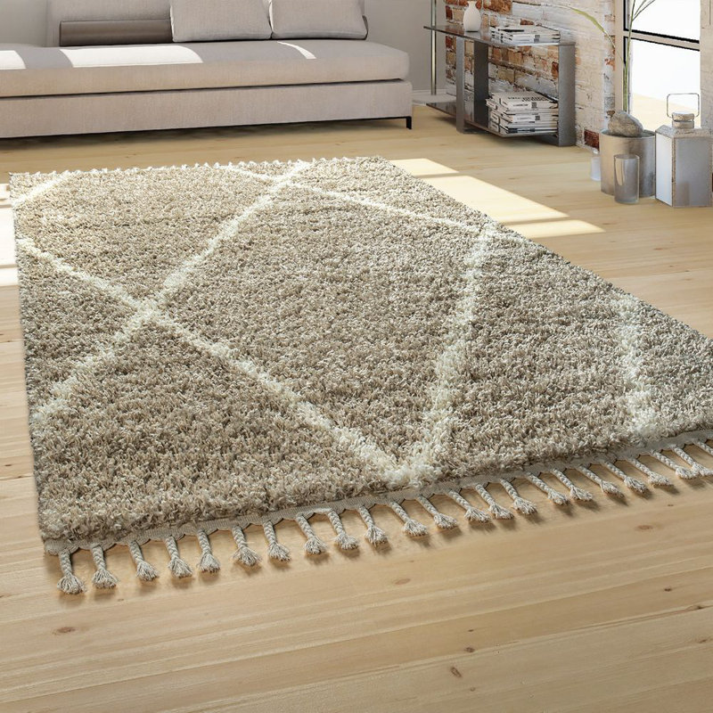 Forteau Geometric Shag Area Rug, Rectangle 120 x 170cm