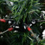 Christmas Tree with LEDs and Pine Cones Green Holiday Decor-842718540