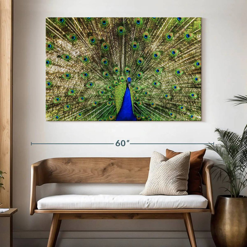 Crowle Majestic Peacock Display, 34" H x 51" W