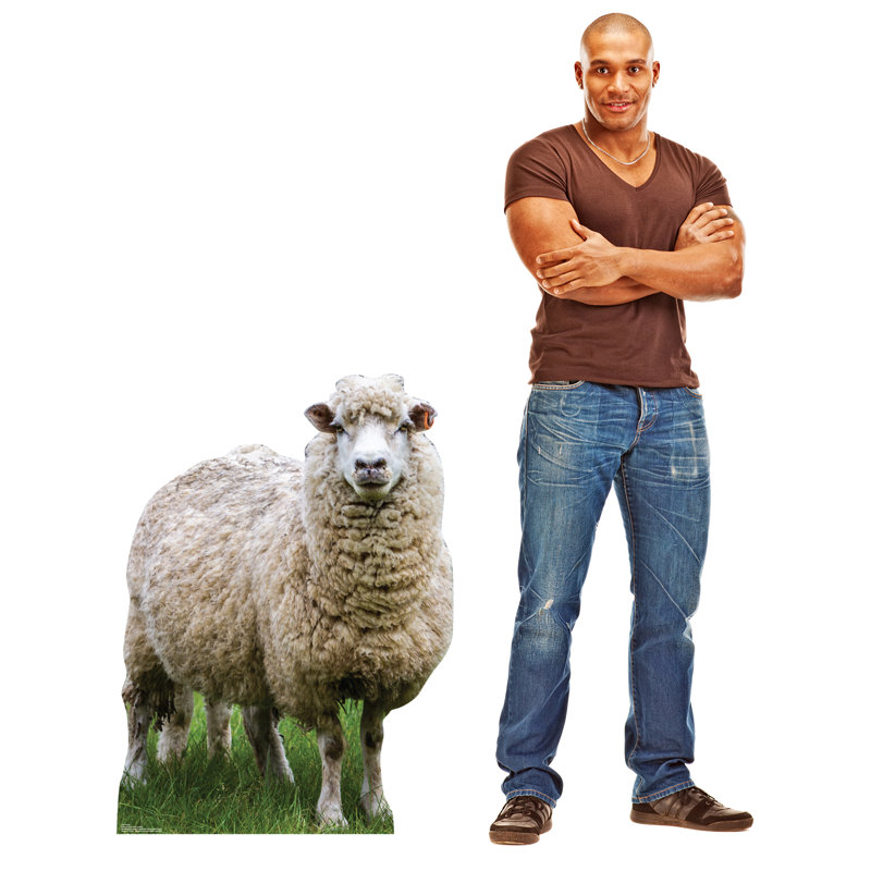 Mouton
