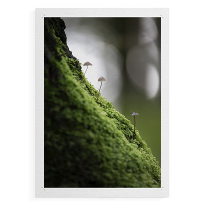 Espoir de Hope Springs - impression sur toile seulement - non encadrée