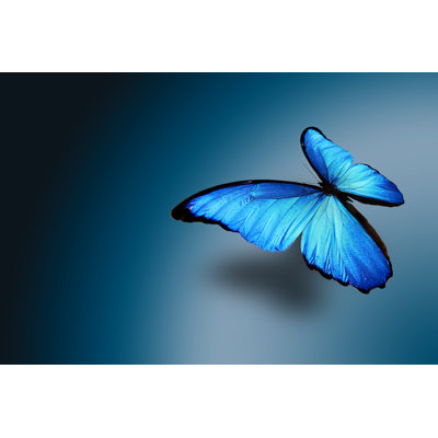 " Tropical Butterfly "
