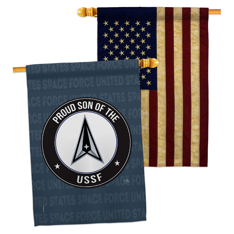 Double Sided 40'' H x 28'' W Polyester House Flag