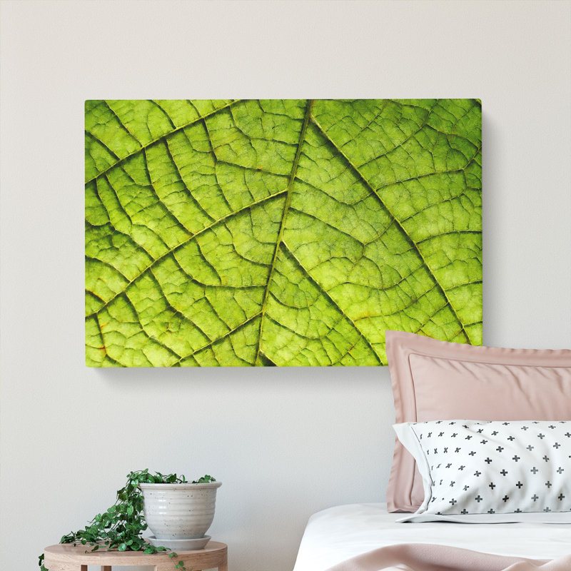Leaf Roads - Wrapped Canvas, 40cm H x 60cm W x 3cm D