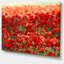 " Thick Red Poppy Flower Field "-19410050-33311304