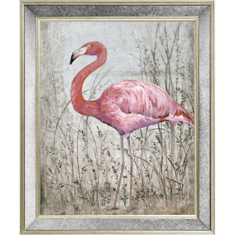 Flamingo Flamingo LI - Single Picture Frame Print