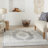 Oriental Indoor Rug-418054458