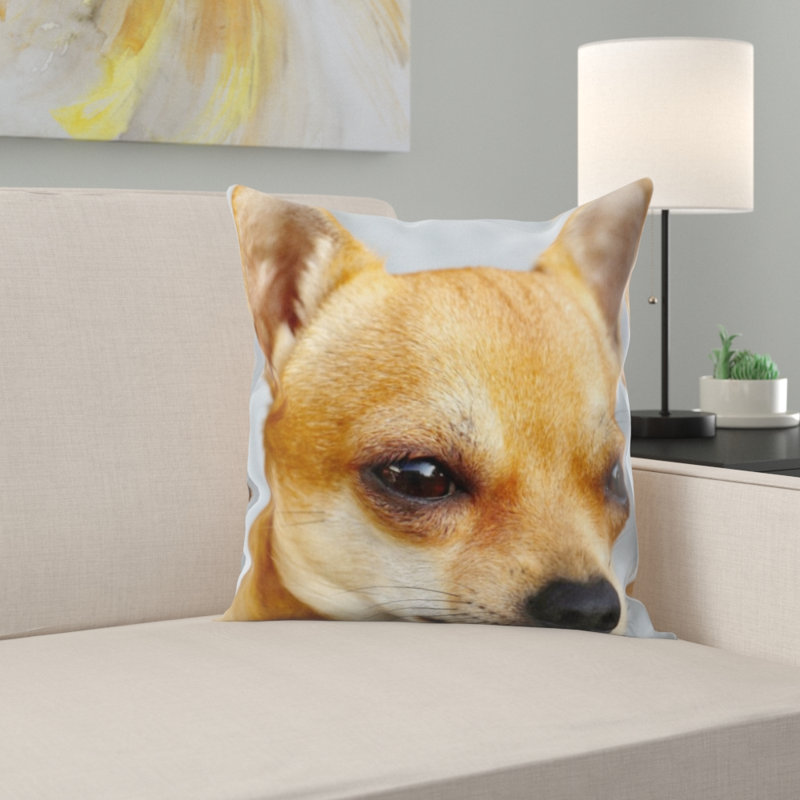 Coussin chihuahua