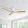 Nicola 52" 3 - Blade Ceiling Fan without Lights