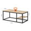 Adkinson Coffee Table with Storage-1566551134