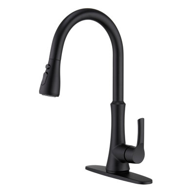 Mondawe Pull Down Kitchen Faucet