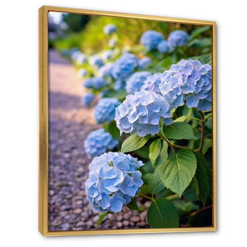 Fleurs bleues d'hortensia - art mural floral, Cadre flottant doré, H 40 po x l 30 po x P 1,5 po