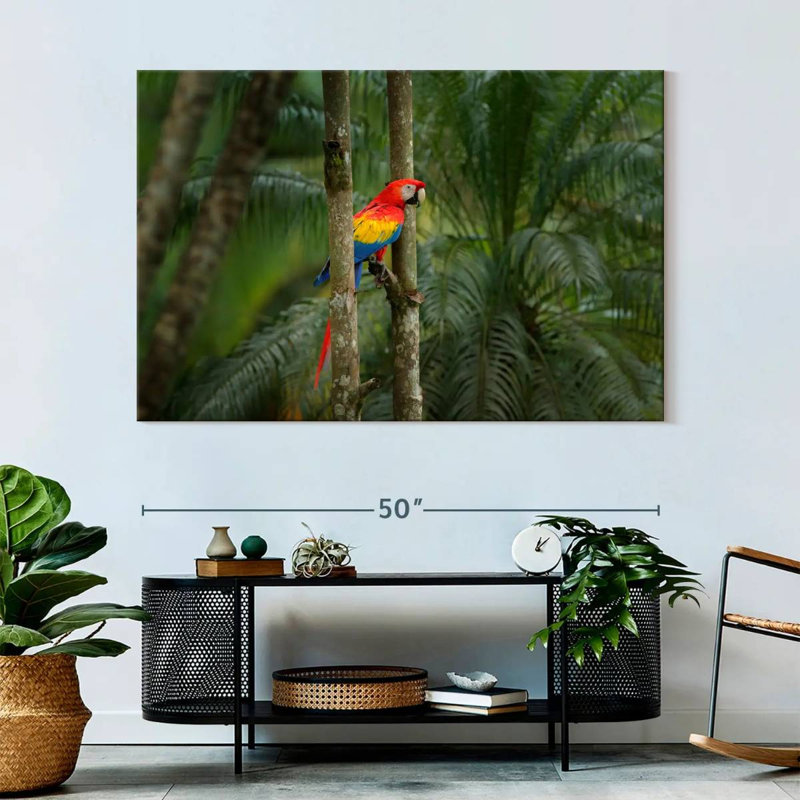 Brampt Wild Scarlet Macaw, 34" H x 51" W