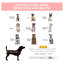 Lit surélevé pour chien avec tissu Oxford, caisse de refroidissement pour animaux rouge pour l'intérieur et l'extérieur