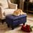 Multi-Functional Blue Faux Leather Ottoman with Hidden Storage Compartment-1418637425